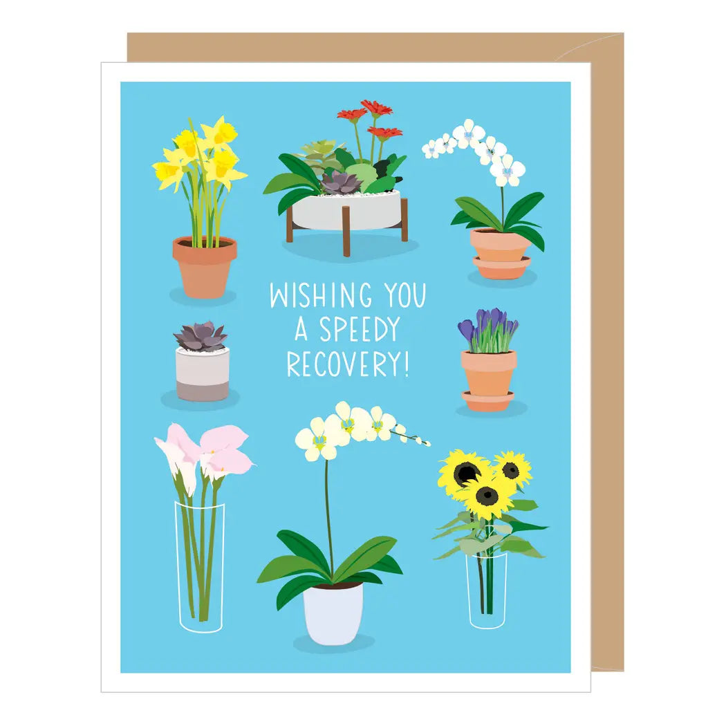 Potted Flowers Get Well Card | Giftbar