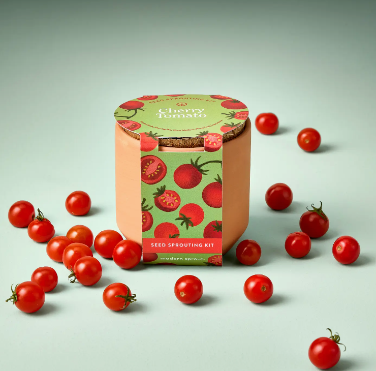 Cherry Tomato Tiny Terracotta Kit