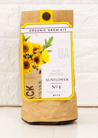 Sunflowers Grow Kit
