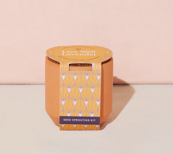Tiny Terracotta Kit - Live Well Lavender