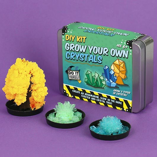 DIY Kit Grow Your Own Crystals